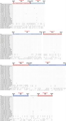 A Visual Assay of a Loop-Mediated Isothermal Amplification Based Vertical Immunoassay for SARS-CoV-2 RNA Detection